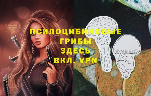 MDMA Premium VHQ Белокуриха