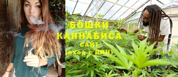 сатива Рославль