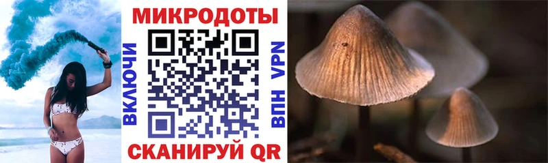 Галлюциногенные грибы прущие грибы  Облучье 